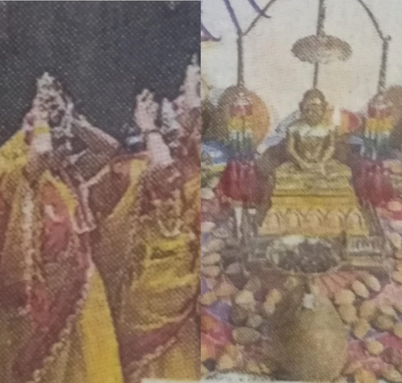 WhatsApp Image 2024-11-22 at 15.12.48